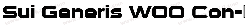 Sui Generis W00 Con字体转换